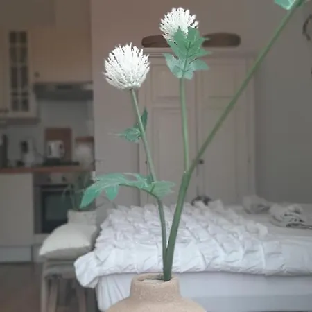 Hendrika Appartement *