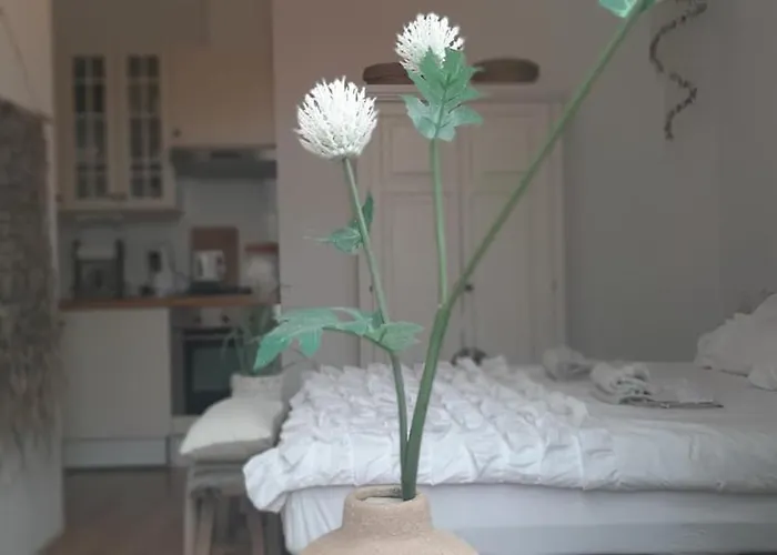 Hendrika Apartment *