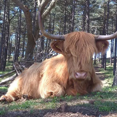 Hendrika 아파트 잔드보르트